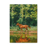 Load image into Gallery viewer, "Water Dancer" Canvas
