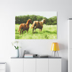 Load image into Gallery viewer, "Close Behind" Canvas
