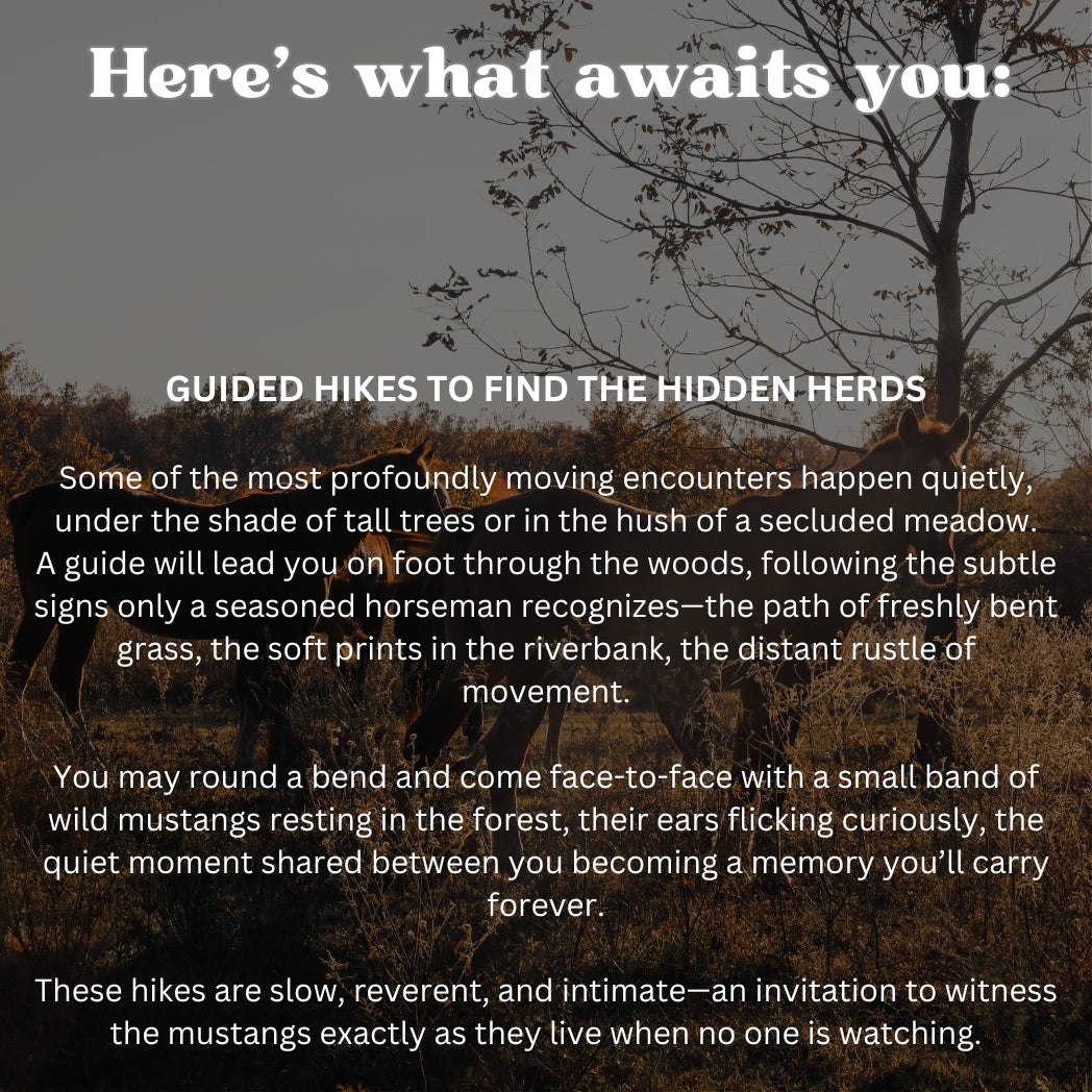 Wild Horse Weekend Retreat Raffle: 3 out of 200 tickets sold