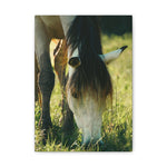 Load image into Gallery viewer, "Within Reach" Canvas
