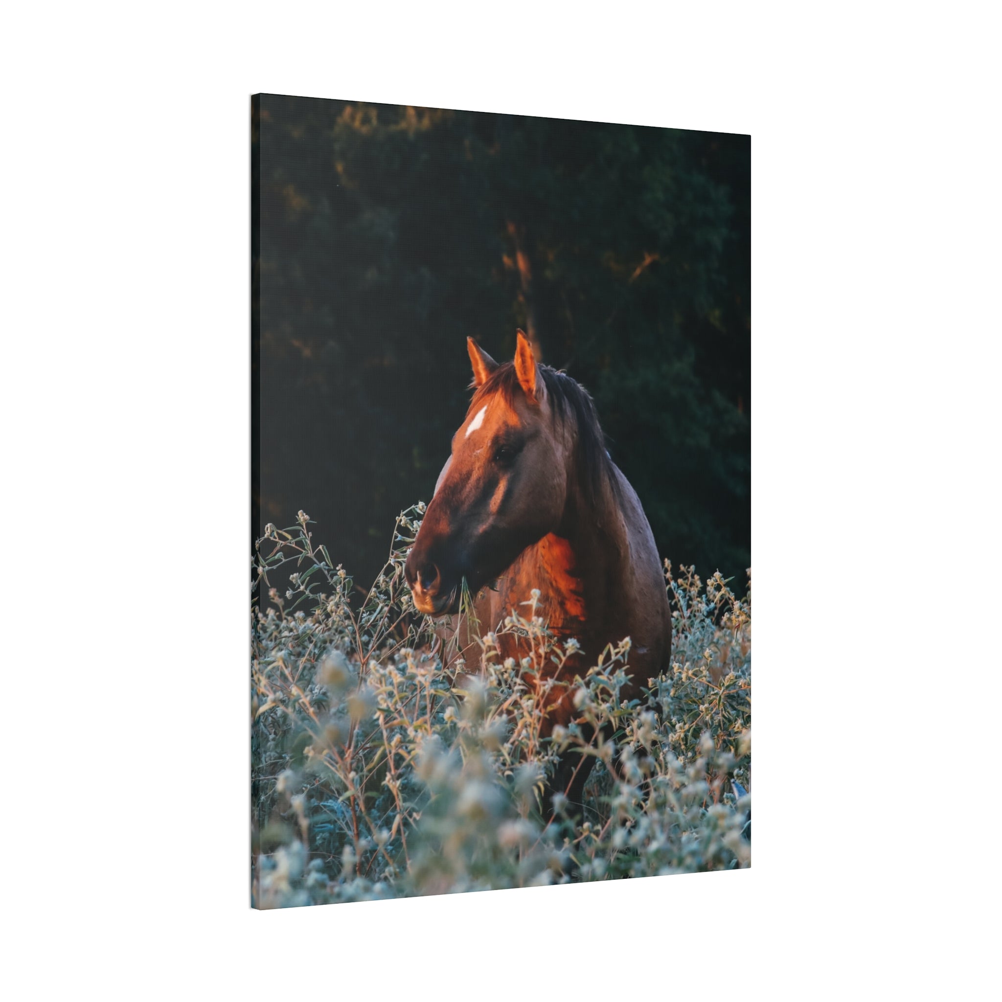 "The Still Small Voice" Canvas