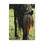 Load image into Gallery viewer, "Shades of Wild" Canvas
