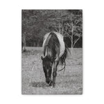 Load image into Gallery viewer, "Leah: The Quiet Watcher" Canvas
