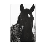 Load image into Gallery viewer, "Marked and Unmoved" Canvas
