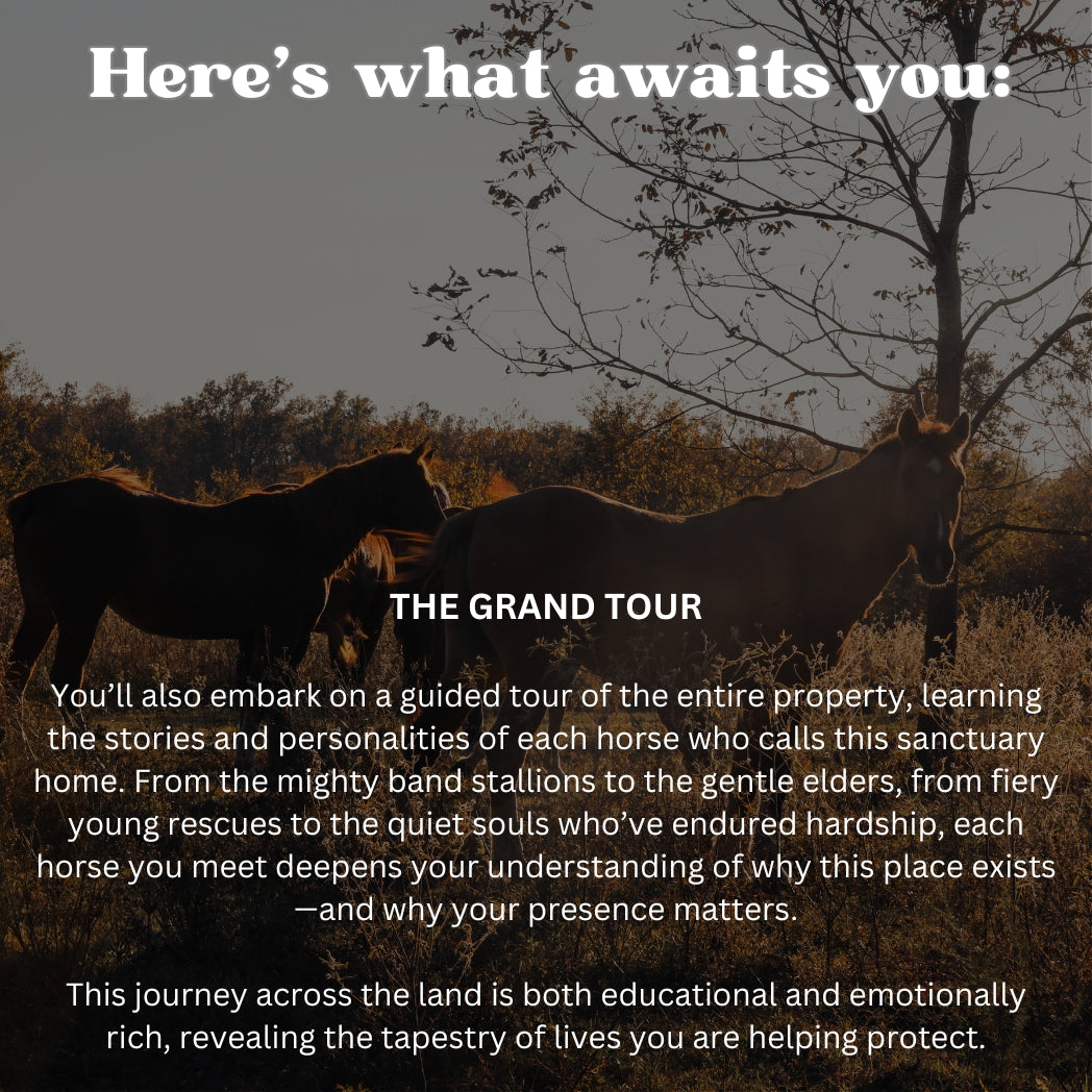 Wild Horse Weekend Retreat Raffle: 3 out of 200 tickets sold