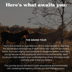 Load image into Gallery viewer, Wild Horse Weekend Retreat Raffle: 3 out of 200 tickets sold
