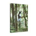 Load image into Gallery viewer, "Hidden in the Quiet-Nizhoni" Canvas
