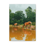 Load image into Gallery viewer, "A Moment to Refresh" Canvas
