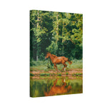 Load image into Gallery viewer, "Water Dancer" Canvas
