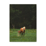 Load image into Gallery viewer, "The First Lessons of Love" Canvas
