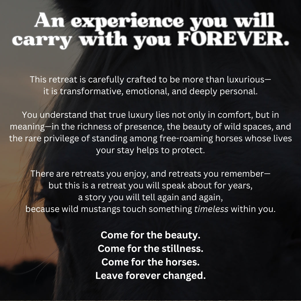 Wild Horse Weekend Retreat Raffle: 3 out of 200 tickets sold