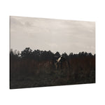 Load image into Gallery viewer, "Hidden in Plain Sight" Canvas
