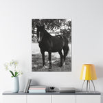 Load image into Gallery viewer, "Ghost in the Shadows" Canvas

