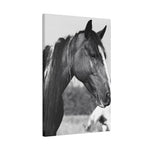 Load image into Gallery viewer, "The Mark of the Wild" Canvas
