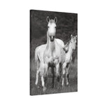 Load image into Gallery viewer, "Venus and Kairos: A Second Chance, A First Glimpse" Canvas

