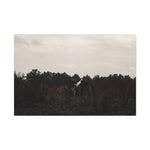 Load image into Gallery viewer, "Hidden in Plain Sight" Canvas
