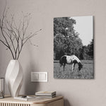 Load image into Gallery viewer, "Rooted in Stillness" Canvas
