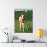 Load image into Gallery viewer, "A New and Wild Heart" Canvas
