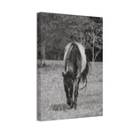 Load image into Gallery viewer, "Leah: The Quiet Watcher" Canvas
