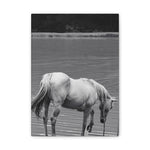 Load image into Gallery viewer, "Standing at the Edge" Canvas
