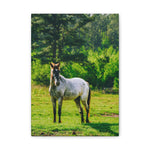 Load image into Gallery viewer, "Sunshine and Magnolia" Canvas
