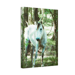 Load image into Gallery viewer, "Curiously Quiet" Canvas
