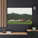 Load image into Gallery viewer, "Leader of the Herd" Canvas
