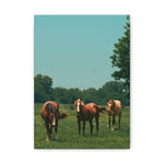 Load image into Gallery viewer, "Closing the Distance" Canvas
