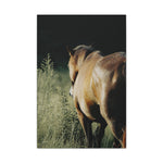 Load image into Gallery viewer, "Light Finds the Wild" Canvas
