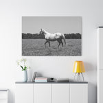 Load image into Gallery viewer, "A Study in Motion" Canvas
