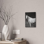Load image into Gallery viewer, "Where She Stands Now" Canvas
