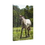 Load image into Gallery viewer, "Where the Sun Rest" Canvas
