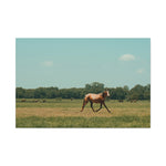 Load image into Gallery viewer, "Sedona. Run Free." Canvas
