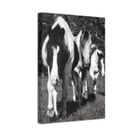 Load image into Gallery viewer, "A Place Among Their Own" Canvas
