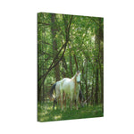 Load image into Gallery viewer, "The Watcher and the Wanderer" Canvas
