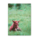 Load image into Gallery viewer, "Resting Amongst the Wild" Canvas
