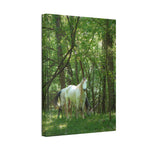 Load image into Gallery viewer, "The Watcher and the Wanderer" Canvas
