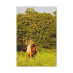 Load image into Gallery viewer, "Lit by the Wild" Canvas
