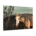 Load image into Gallery viewer, "Clothed in Light" Canvas
