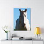 Load image into Gallery viewer, "Between Sun and Shadow" Canvas
