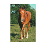 Load image into Gallery viewer, "Eyes Set Forward" Canvas
