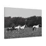 Load image into Gallery viewer, "The Contrast Within" Canvas
