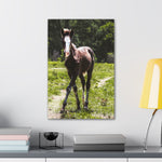 Load image into Gallery viewer, "Half Wild, Half Wonder" Canvas
