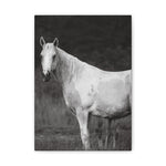 Load image into Gallery viewer, "Where She Stands Now" Canvas
