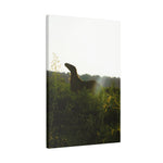 Load image into Gallery viewer, "Scent of Freedom" Canvas
