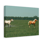 Load image into Gallery viewer, "Running in the Wild" Canvas
