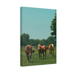 Load image into Gallery viewer, "Closing the Distance" Canvas
