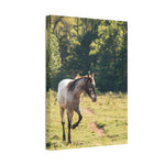 Load image into Gallery viewer, "Magnolia's Path" Canvas
