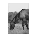 Load image into Gallery viewer, "Tristan: The Reclamation" Canvas
