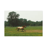 Load image into Gallery viewer, "Renegade Unleashed" Canvas

